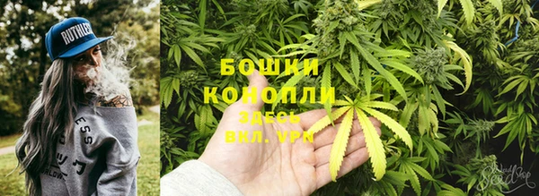 дживик Горно-Алтайск