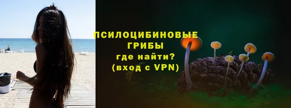 ALPHA-PVP Горнозаводск