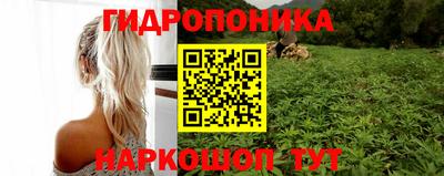 mdma Гусев