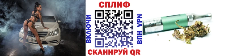 Бошки Шишки планчик Бор
